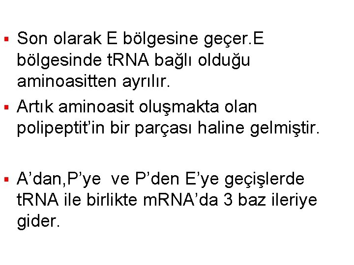 Son olarak E bölgesine geçer. E bölgesinde t. RNA bağlı olduğu aminoasitten ayrılır. §