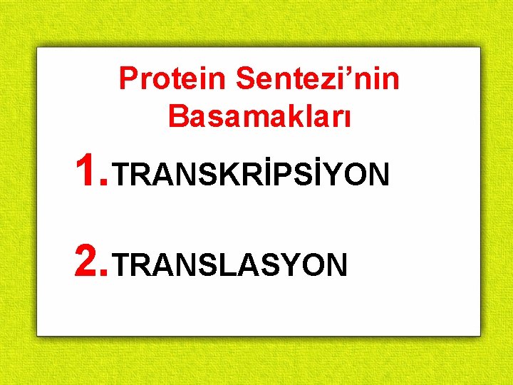 Protein Sentezi’nin Basamakları 1. TRANSKRİPSİYON 2. TRANSLASYON 