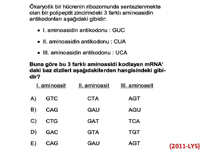 (2011 -LYS) 