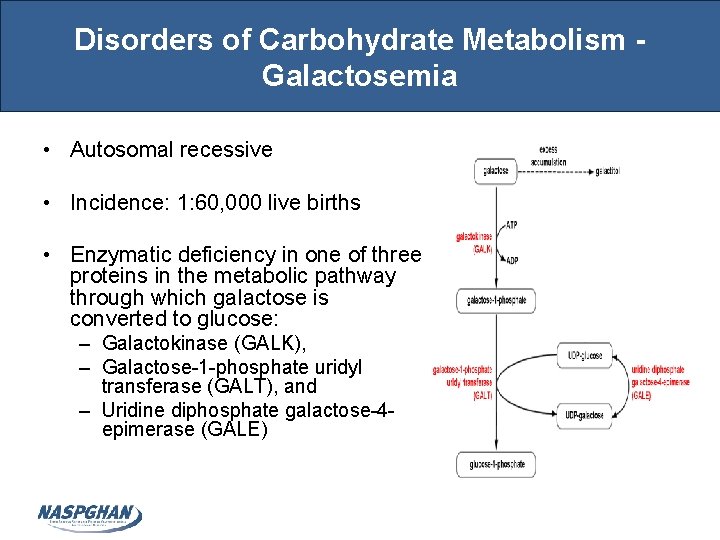 Disorders of Carbohydrate Metabolism Galactosemia • Autosomal recessive • Incidence: 1: 60, 000 live