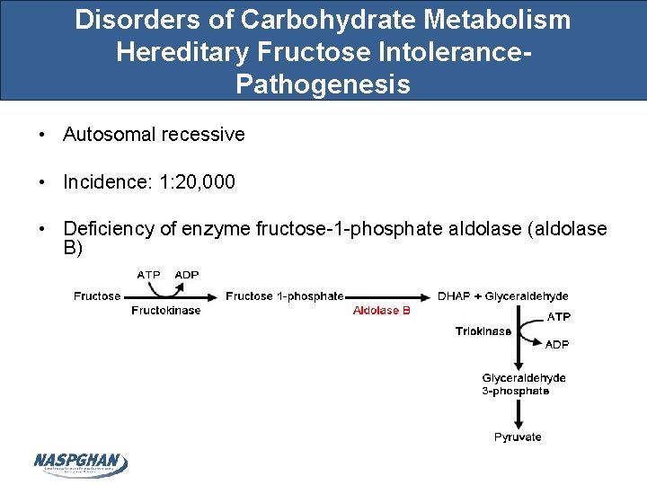 Disorders of Carbohydrate Metabolism Hereditary Fructose Intolerance. Pathogenesis • Autosomal recessive • Incidence: 1: