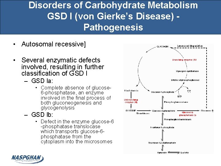 Disorders of Carbohydrate Metabolism GSD I (von Gierke’s Disease) Pathogenesis • Autosomal recessive] •