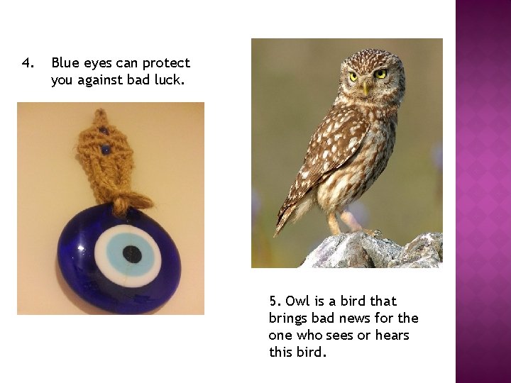 4. Blue eyes can protect you against bad luck. 5. Owl is a bird