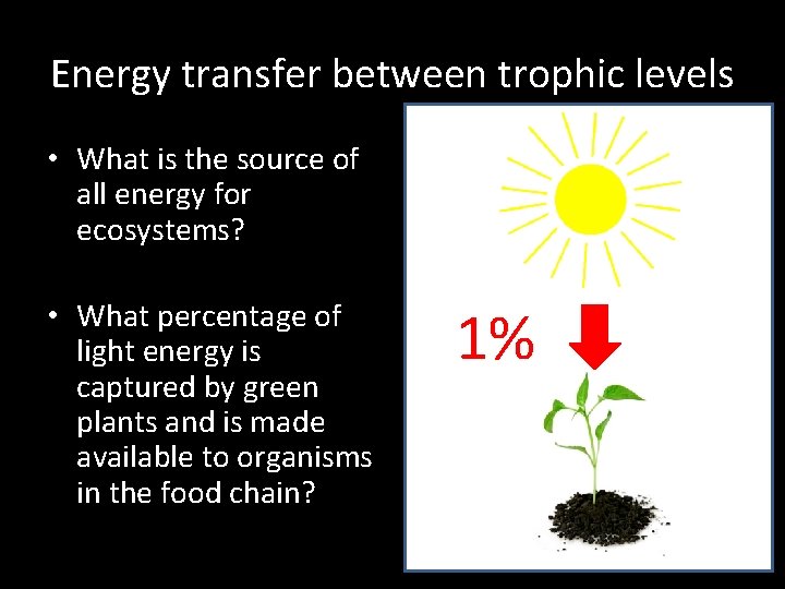 Energy transfer between trophic levels • What is the source of all energy for