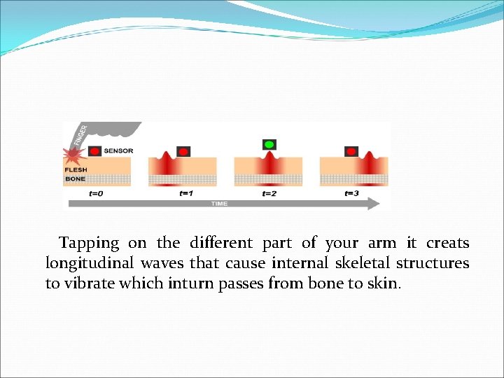  Tapping on the different part of your arm it creats longitudinal waves that