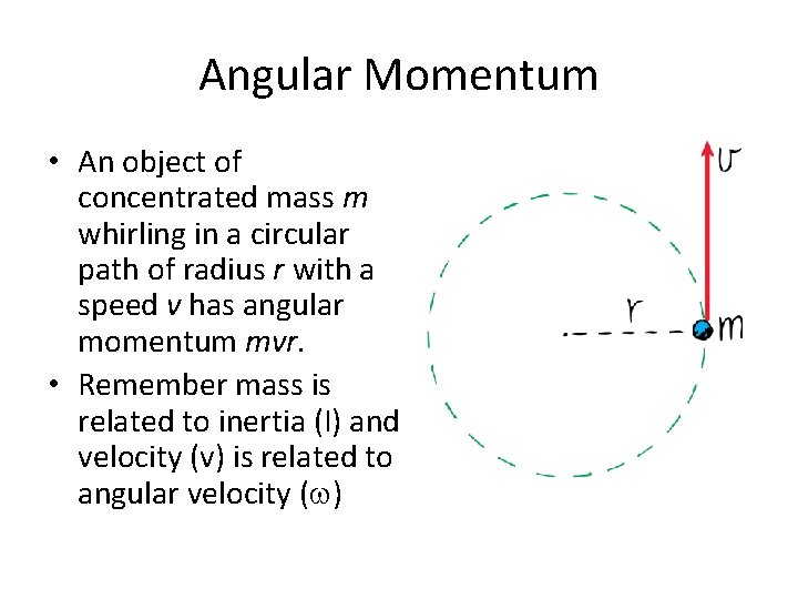 Angular Momentum • An object of concentrated mass m whirling in a circular path