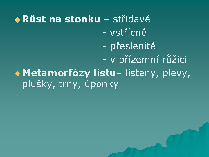 u Růst na stonku – střídavě - vstřícně - přeslenitě - v přízemní růžici