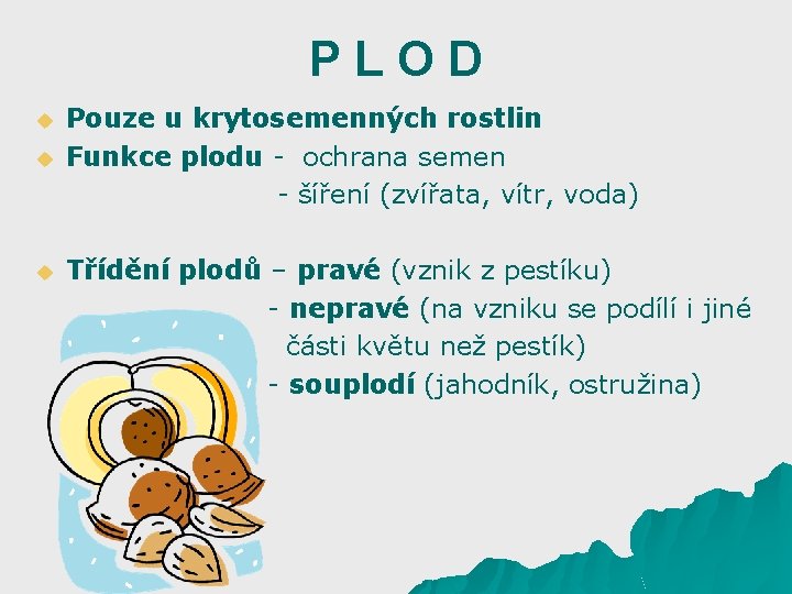 PLOD Pouze u krytosemenných rostlin u Funkce plodu - ochrana semen - šíření (zvířata,