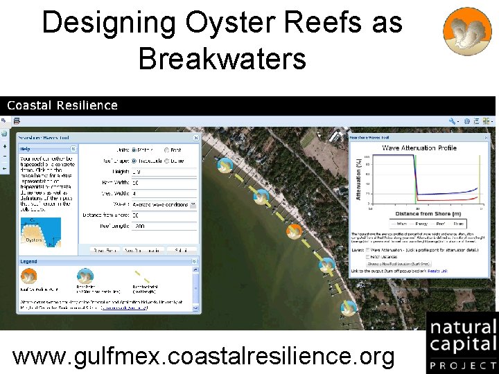 Designing Oyster Reefs as Breakwaters www. gulfmex. coastalresilience. org 