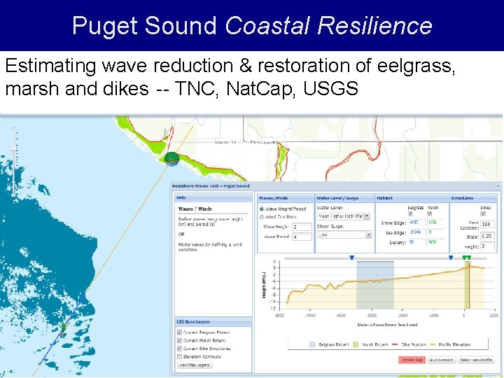 Puget Sound Coastal Resilience Estimating wave reduction & restoration of eelgrass, marsh and dikes