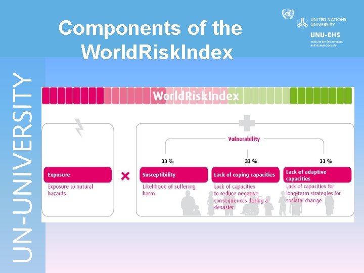 Components of the World. Risk. Index 