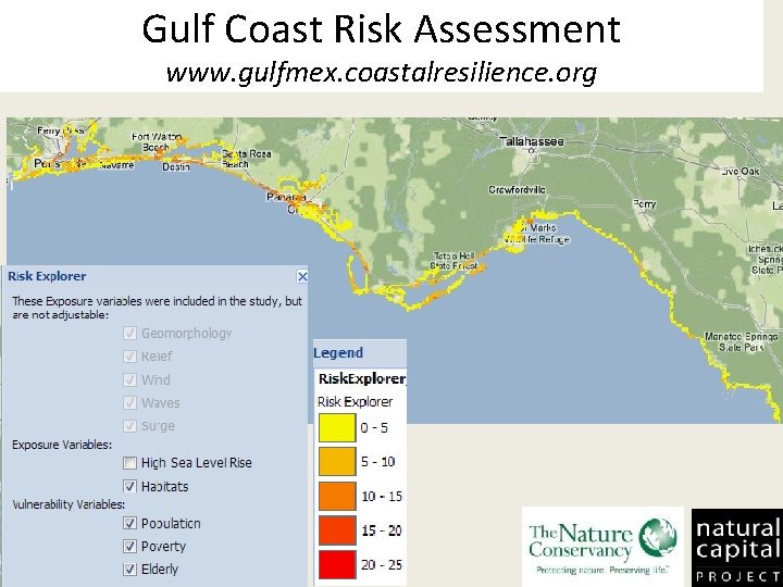 Gulf Coast Risk Assessment www. gulfmex. coastalresilience. org 