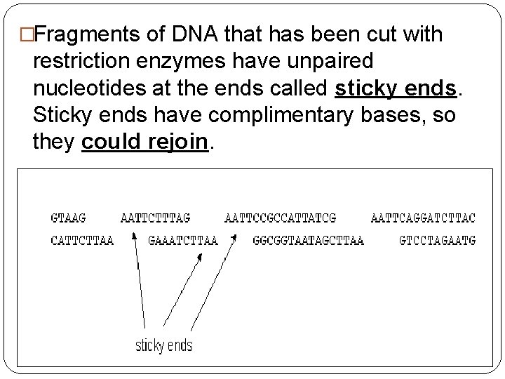 �Fragments of DNA that has been cut with restriction enzymes have unpaired nucleotides at