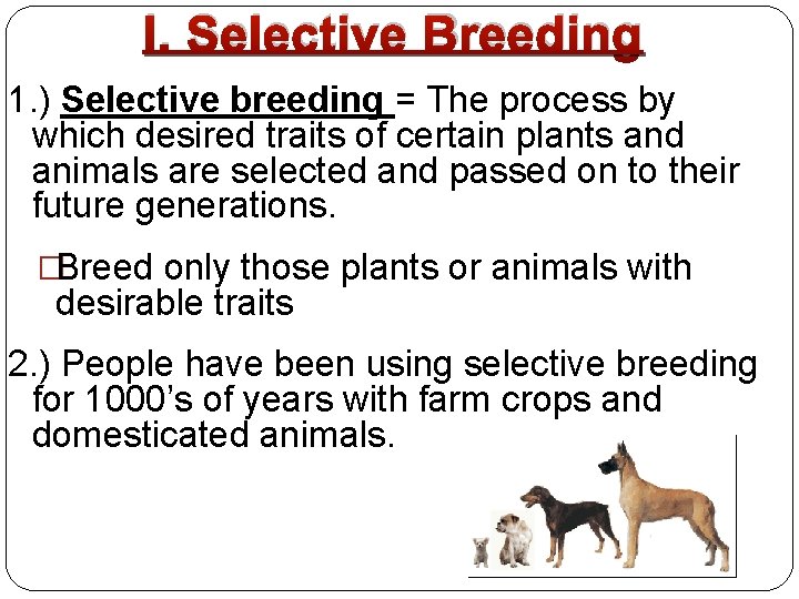 I. Selective Breeding 1. ) Selective breeding = The process by which desired traits