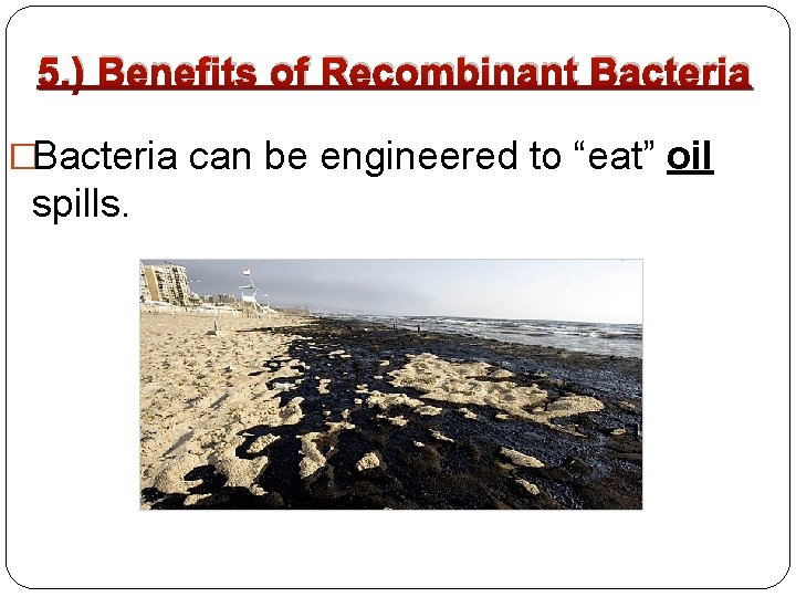 5. ) Benefits of Recombinant Bacteria �Bacteria can be engineered to “eat” oil spills.