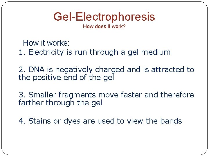 Gel-Electrophoresis How does it work? ● How it works: 1. Electricity is run through