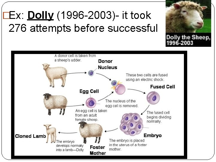 �Ex: Dolly (1996 -2003)- it took 276 attempts before successful 