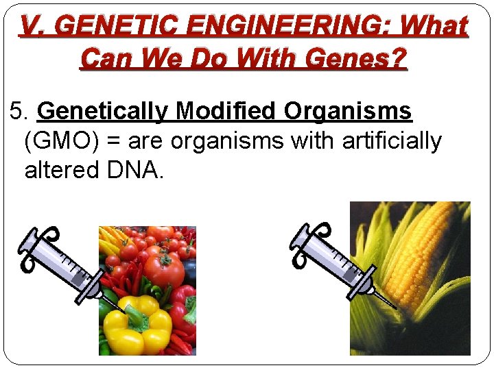 V. GENETIC ENGINEERING: What Can We Do With Genes? 5. Genetically Modified Organisms (GMO)