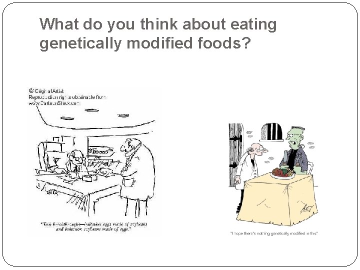 What do you think about eating genetically modified foods? 