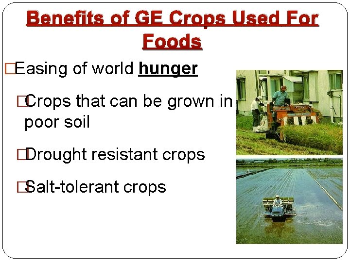 Benefits of GE Crops Used For Foods �Easing of world hunger �Crops that can