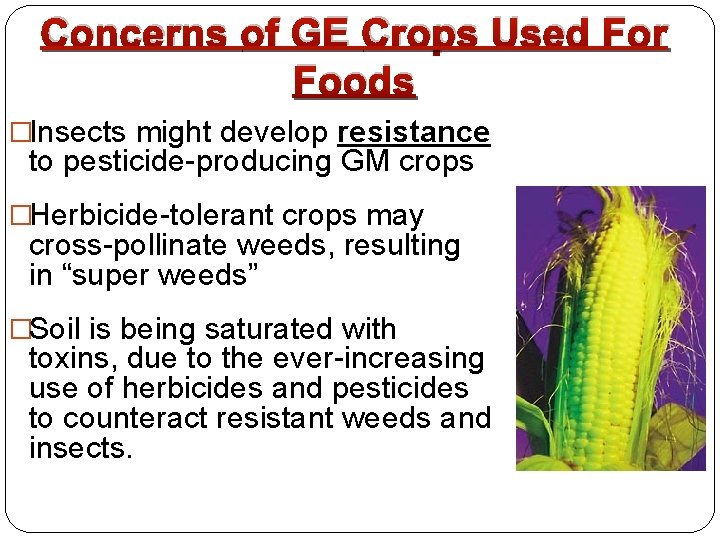 Concerns of GE Crops Used For Foods �Insects might develop resistance to pesticide-producing GM