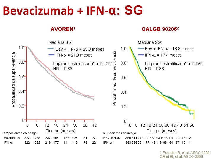 Bevacizumab + IFN-α: SG AVOREN 1 CALGB 902062 Probabilidad de supervivencia 1. 0 Bev