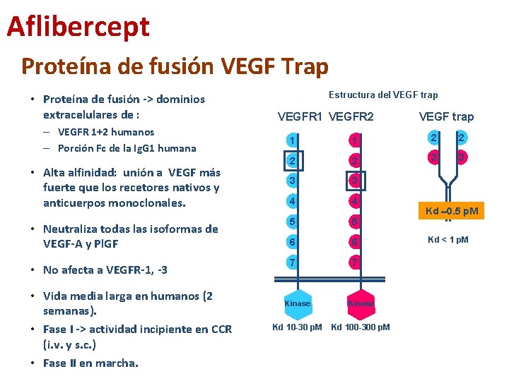 Aflibercept Proteína de fusión VEGF Trap • Proteína de fusión -> dominios extracelulares de Aflibercept Proteína de fusión VEGF Trap • Proteína de fusión -> dominios extracelulares de