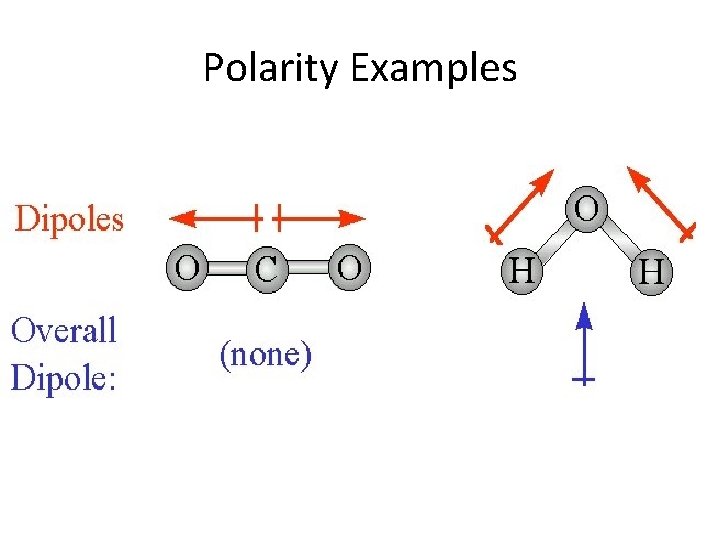 Polarity Examples 