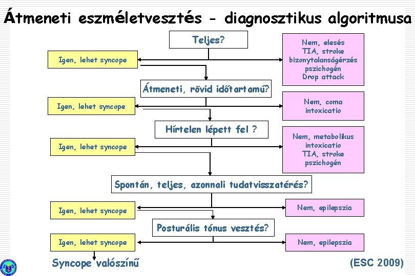 Átmeneti eszméletvesztés - diagnosztikus algoritmusa Teljes? Igen, lehet syncope Nem, elesés TIA, stroke bizonytalanságérzés