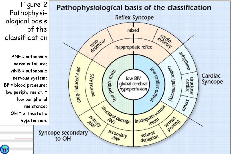 Figure 2 Pathophysiological basis of the classification ANF = autonomic nervous failure; ANS =