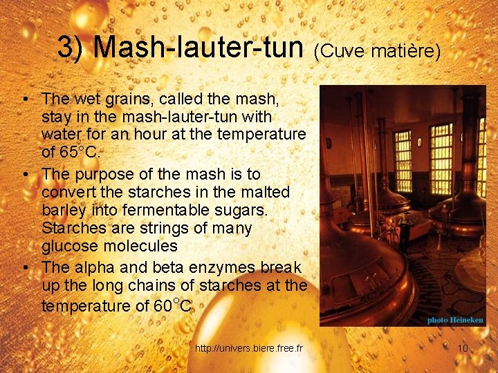 3) Mash-lauter-tun (Cuve matière) • The wet grains, called the mash, stay in the