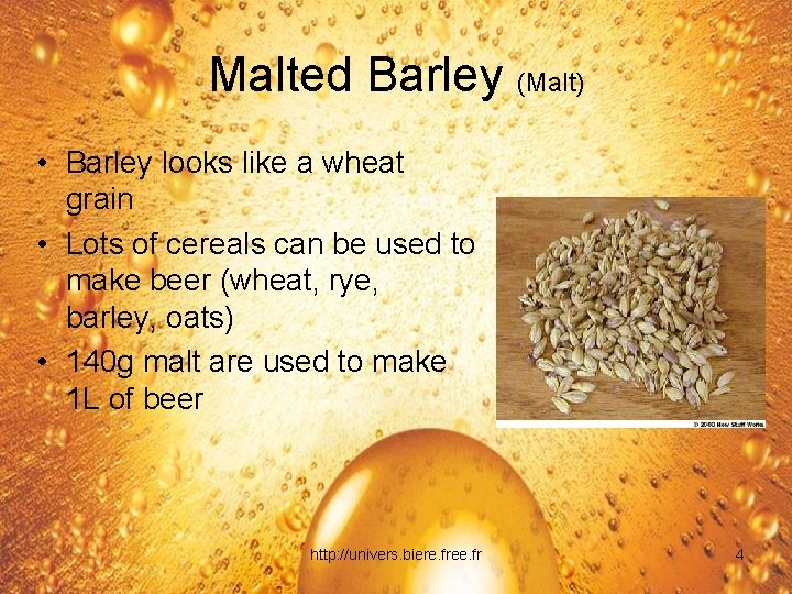 Malted Barley (Malt) • Barley looks like a wheat grain • Lots of cereals