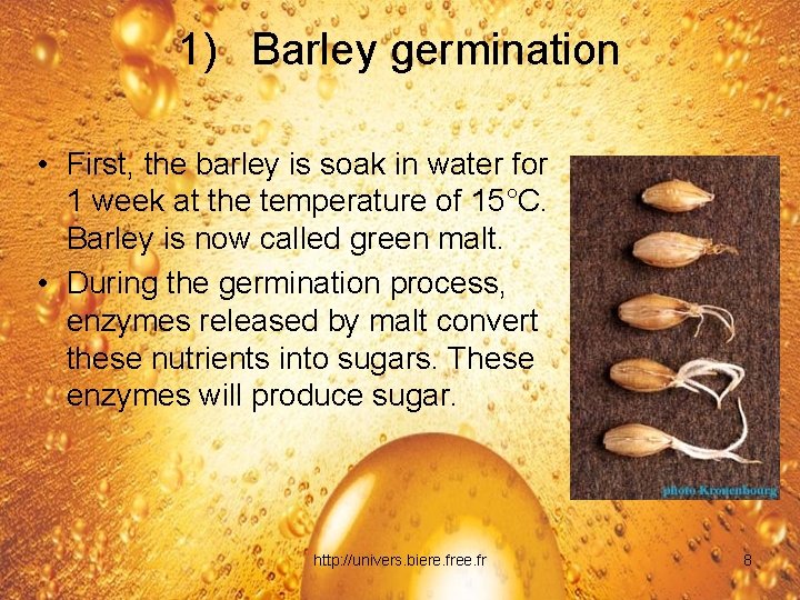 1) Barley germination • First, the barley is soak in water for 1 week