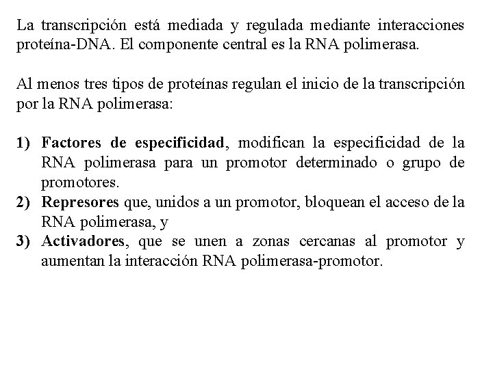 La transcripción está mediada y regulada mediante interacciones proteína-DNA. El componente central es la