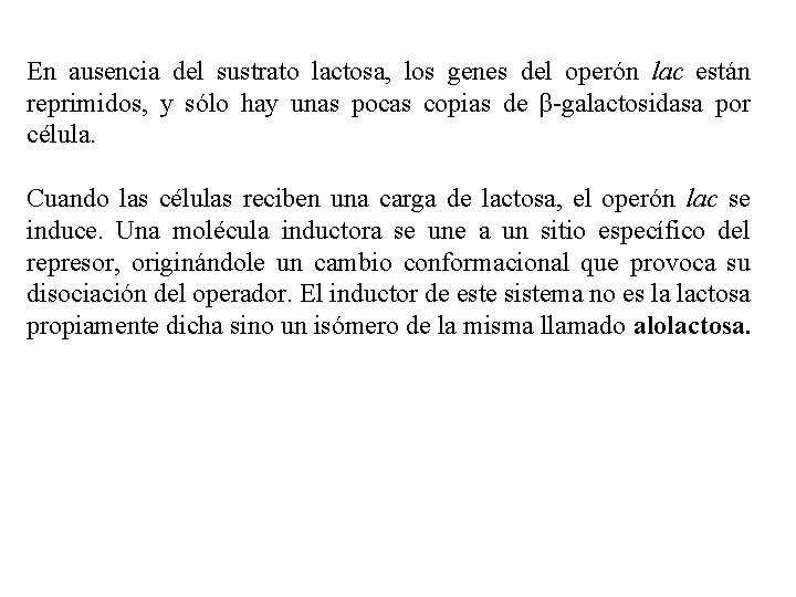 En ausencia del sustrato lactosa, los genes del operón lac están reprimidos, y sólo