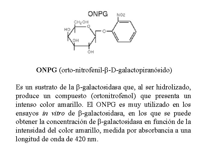 ONPG (orto-nitrofenil-β-D-galactopiranósido) Es un sustrato de la β-galactosidasa que, al ser hidrolizado, produce un