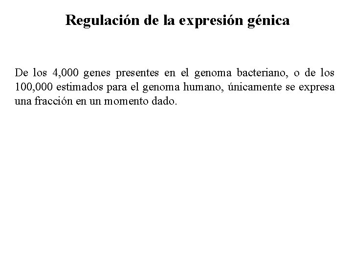 Regulación de la expresión génica De los 4, 000 genes presentes en el genoma
