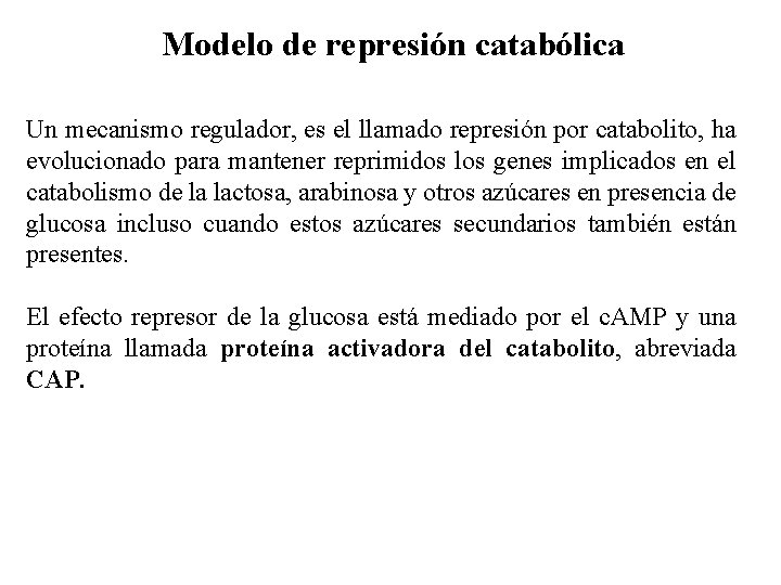 Modelo de represión catabólica Un mecanismo regulador, es el llamado represión por catabolito, ha