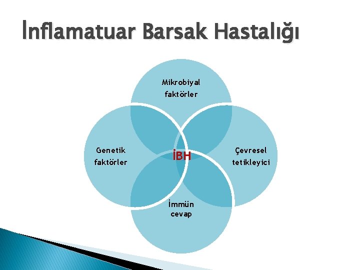 İnflamatuar Barsak Hastalığı Mikrobiyal faktörler Genetik faktörler İBH İmmün cevap Çevresel tetikleyici 