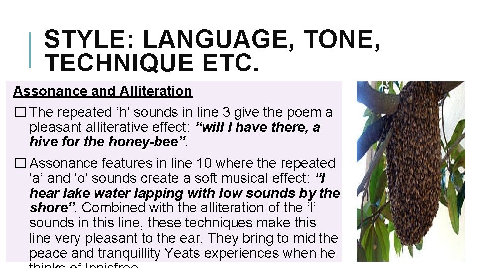 STYLE: LANGUAGE, TONE, TECHNIQUE ETC. Assonance and Alliteration � The repeated ‘h’ sounds in