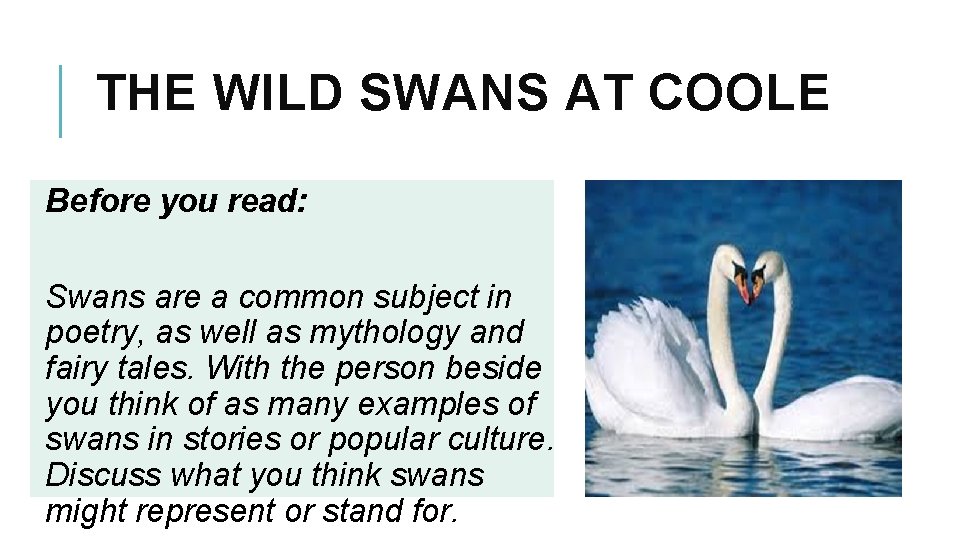 THE WILD SWANS AT COOLE Before you read: Swans are a common subject in