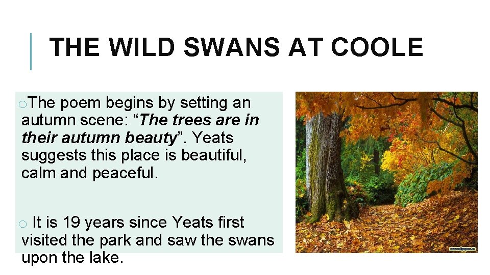 THE WILD SWANS AT COOLE o. The poem begins by setting an autumn scene: