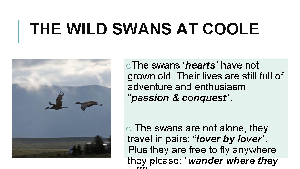 THE WILD SWANS AT COOLE o. The swans ‘hearts’ have not grown old. Their