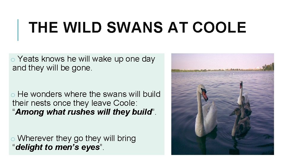 THE WILD SWANS AT COOLE o Yeats knows he will wake up one day