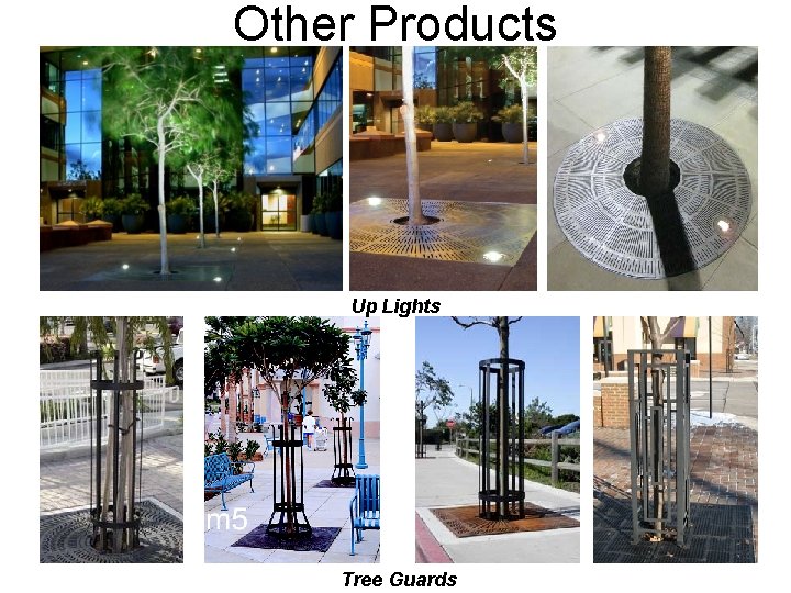 Other Products Up Lights Tree Guards 