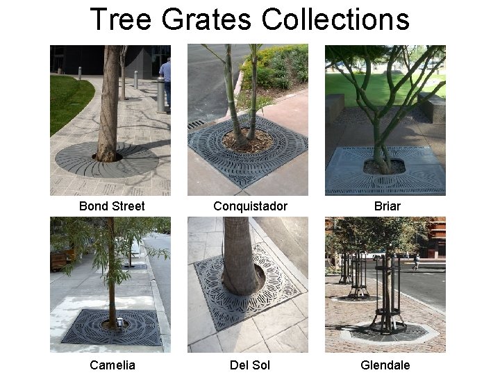 Tree Grates Collections Bond Street Conquistador Briar Camelia Del Sol Glendale 