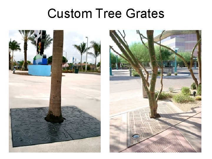 Custom Tree Grates 