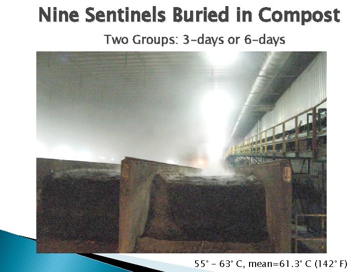 Nine Sentinels Buried in Compost Two Groups: 3 -days or 6 -days 55° -