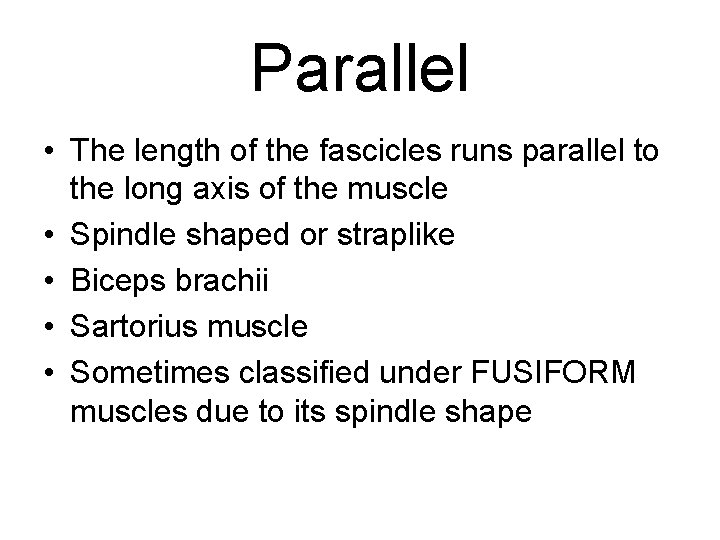 Parallel • The length of the fascicles runs parallel to the long axis of