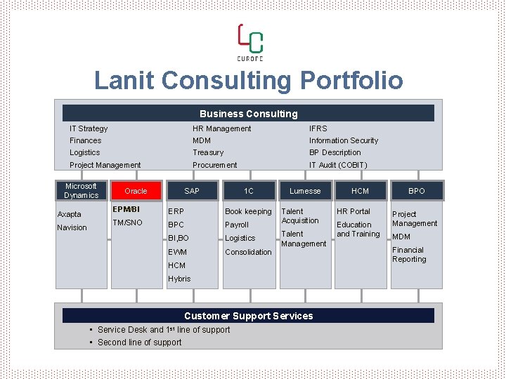 Lanit Consulting Portfolio Business Consulting IT Strategy HR Management IFRS Finances MDM Information Security